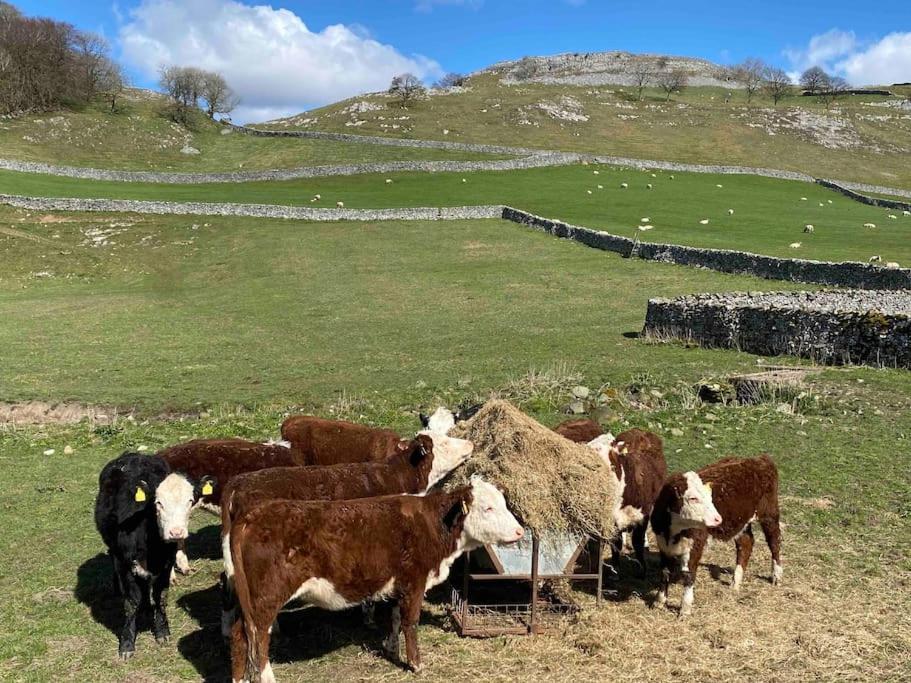Charming Dog-Friendly Yorkshire Dales Cottage, Austwick Exteriör bild