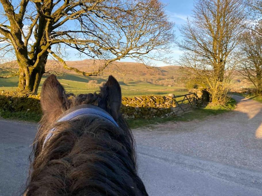 Charming Dog-Friendly Yorkshire Dales Cottage, Austwick Exteriör bild